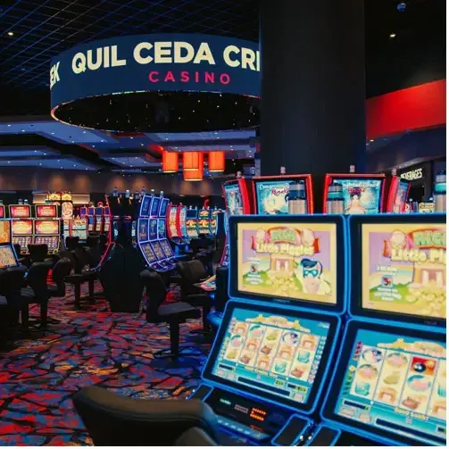 Casino bonus terms concept
