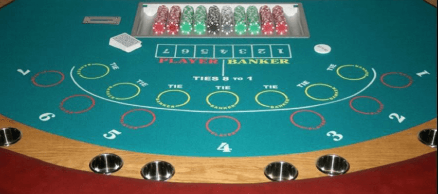 Professional live dealer presenting a casino game